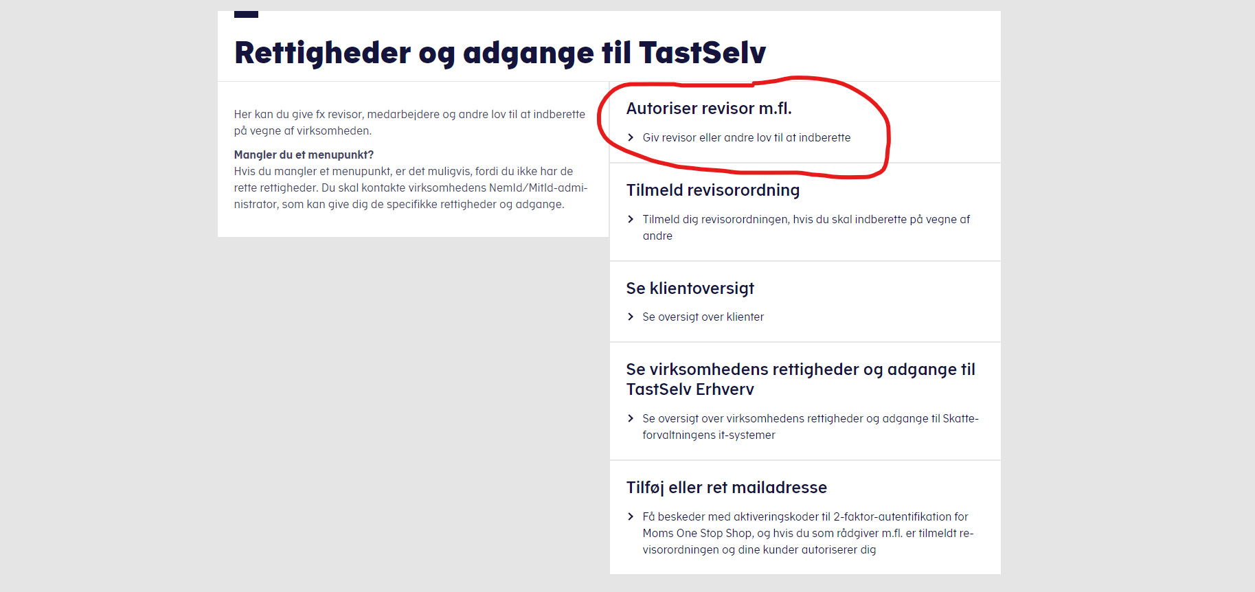 Vælg Autoriser revisor m.fl.